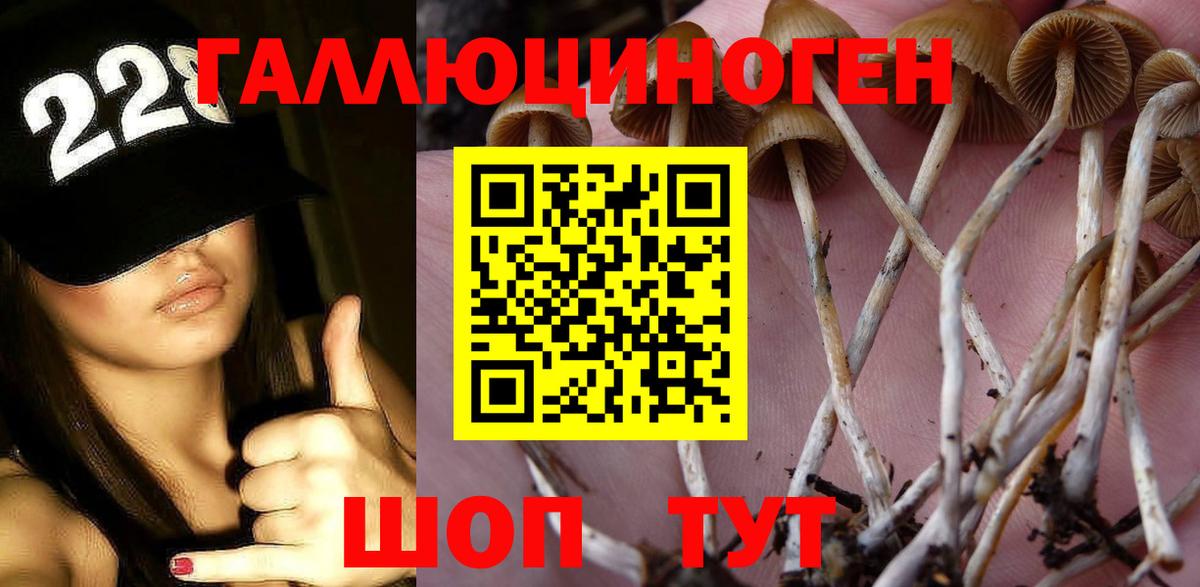 Шебекино  Псилоцибиновые грибы GOLDEN TEACHER  магазин  наркотиков  Вход с VPN 
